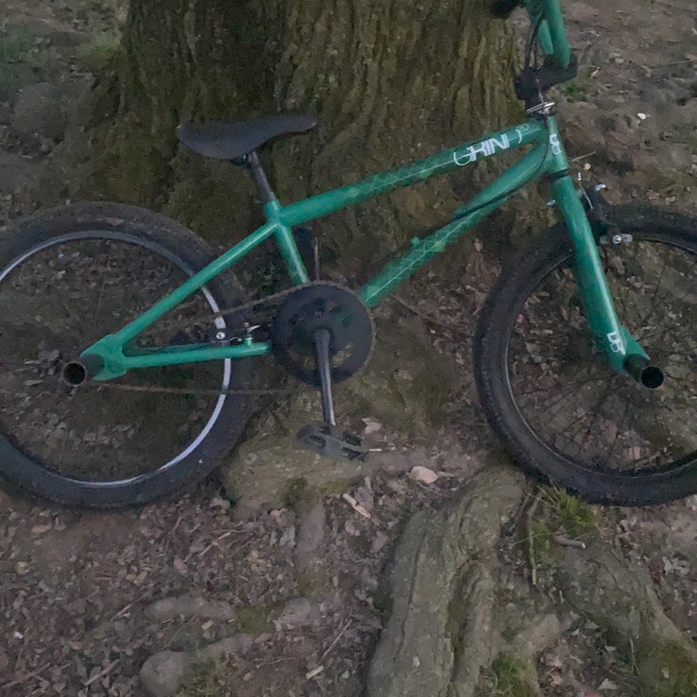 Hi I’m selling a bike I would like 125 for it